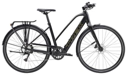 Trek FX + 2 Stagger LT S