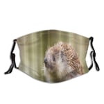 WINCAN Face Cover Animals Snail And Hedgehog Natural Animal Balaclava Reusable Anti-Dust Mouth Bandanas Running Neck Gaiter with 2 Filters for Men Women