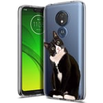 ZhuoFan Motorola Moto G7 Power Case, Phone Case Transparent Clear with Pattern Ultra Slim Shockproof Soft Gel TPU Silicone Back Cover Bumper Skin for Motorola Moto G7 Power (Squatting Cat)