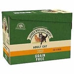 James Wellbeloved Adult Cat Grain Free Pouches With Turkey I - 85g - 434105