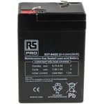 Rs Pro - Batterie au plomb étanche 6V 4Ah cyclique ( Prix pour 1 )