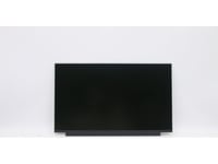 15.6" Hd Tn Display Panel, 220 Nits