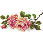 Magic Needle Le Parfum des Roses Kit Point de Croix avec Motif compté Zweigart Edition, Coton, Multicolore, 25x12cm