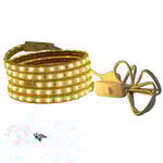 FOLGEMIR Ruban à LED avec interrupteur 3m Blanc Chaud, Bande Lumineuse 220V 230V, 5050 SMD 60 Leds/m strip, IP65 étanche, rétro-éclairage lumineux
