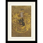 Wizarding World Harry Potter (Hufflepuff Crest) 30 x 40 cm Objet Souvenir