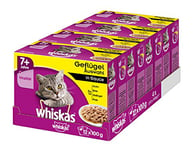 whiskas 7 + cat food, wet food for healthy coat, wet food in various flavours