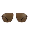 Lacoste Mens Sunglasses L162S 210 Brown Gradient Metal (archived) - One Size