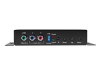 Black Box Hdmi To Analog Video Scaler/converter With Audio