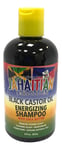 Jahaitian Combination Black Castor Oil Energizing Shampoo With Shea Butter