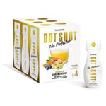 DOT SHOT The Perfector Flytande 6 x 70 ml