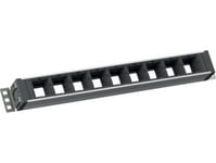 Bachmann - Rack Anpassad Modulpanel - 1,5U - 48,3 Cm (19") (903.003)