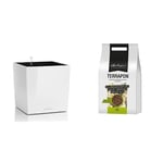 Lechuza – Pot de Fleurs d'Interieur – Premium Cube – Réserve d'eau Intégrée – Coloris Blanc – 50 x 50 x 50 cm + Terrapon – Terreau Mineral Neutre – Contient de l'engrais – 12 litres
