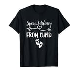 Special Delivery From Cupid Valentines Day Couples Pregnancy T-Shirt