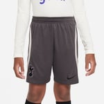 Nike Tottenham Shorts Dri-FIT Strike - Grå/Grå/Svart Barn adult DN2960-254