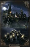 Harry Potter Hogwarts Castle Poster multicolour