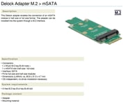 Delock mSATA - M.2 SATA adapter - mSATA SSD til M.2 SATA