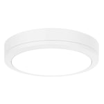 Plafond BLÅTT ljus 15W IP65+IK10