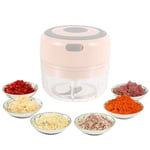 Electric Mini Chopper Food Processor 100ML 2 Sharp Blades/250ML 3 Sharp Blades Baby Food Chopper and Grinder Portable Vegetable Fruit Garlic Meat Onion Ginger Chopper USB Rechargeable (Pink 250ML)