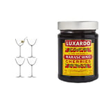 LSA International Borough Martini Glass 195 ml Clear | Set of 4 | Dishwasher Safe | BG08 & Luxardo Marashino Cherries, 400 g (14.1 oz)