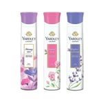 Yardley Deo Combo (English Lavender + English Rose + Morning Dew) - 150ml