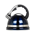 Kettle Whistle Kettle Stovetop 3.5 Litre Capacity Stainless Steel Gold/Blue/Red/Silver/black Large Pot Water Teapot For Stove Top Gas Stoves, Induction Cream (Color : Blue, Size : 3.5L)
