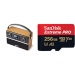 STREAM94L Smart Radio with FM/DAB/DAB+/Bluetooth/Internet Radio/Music Player/Spotify & SanDisk 256GB Extreme PRO microSDXC card + SD adapter + RescuePro Deluxe,up to 200 MB/s