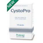 CystoPro 120 st