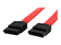 StarTech.com Câble SATA de 46 cm - Cordon Serial ATA en rouge - Câble SATA - SATA (F) pour SATA (F) - 45.8 cm - pour P/N: 10P6G-PCIE-SATA-CARD, 2P6G-PCIE-SATA-CARD, 4P6G-PCIE-SATA-CARD...
