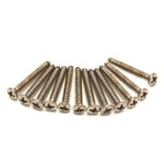 Fender Bass/Telecaster Bridge/Strap Button Mounting Screws (12)