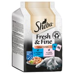 Sheba Fresh & Fine -säästöpakkaus 72 x 50 g - kalalajitelma kastikkeessa