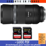 Canon RF 600mm f/11 IS STM + 2 SanDisk 64GB UHS-II 300 MB/s + Guide PDF '20 TECHNIQUES POUR RÉUSSIR VOS PHOTOS