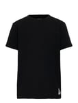 Basic Ss Tee Tops T-shirts Short-sleeved Black Mini Rodini