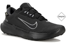 Nike Juniper Trail 2 Gore-Tex M Chaussures homme