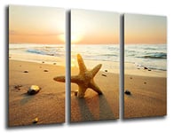 Tableau Moderne Photographique, Impression sur bois, Paysage plage coucher de soleil, étoile de mer, 97 x 62 cm, ref. 26085