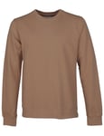 Colorful Standard Organic Cotton Crew Sweat - Sahara Camel Colour: Brown, Size: Large