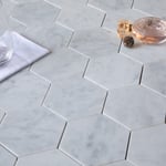 ArtStone Natursten Bianco Carrara C Hexagon Polerad 5x5 cm CTR-MM-H15047