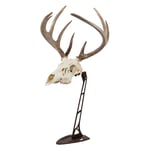 EZ Mount Troféhållare Bordstativ Brun -