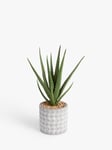 John Lewis Artificial Large Aloe Plant & Concrete Pot