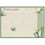Buck - a4 botanical cacti english kokonote weekly planner pad