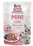 Brit Care Mini Puppy Lamb fillets in gravy 85g 24-pack