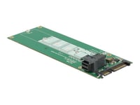 Delock Converter Sata 22 Pin / Sff-8643 Nvme > 1 X M.2 Ngff Key M - Gränssnittsadapter - M.2 - M.2 Card - Sas 6Gb/S, Sata 6Gb/S