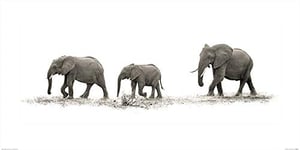 Art Group The Mario Moreno (The Elephants) -Art Print 50 X 100cm, Paper, Multicoloured, 50 x 100 x 1.3 cm