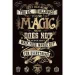 Harry Potter Magisk Affisch One Size Svart