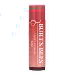 Tinted Lip Balm - Rose