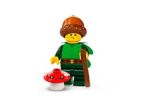 Lego Series 22 Forest Elf Minifigure with Accessories