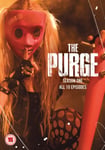 - The Purge Sesong 1 DVD