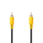 NEDIS Câble vidéo composite | RCA | Plaqué nickel | 480p | 10 m | Rond | PVC | Noir | Étiquette