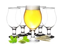 Glasmark Krosno Lot de 6 verres à bière pour bière 0,5 l Passe au lave-vaisselle 500 ml