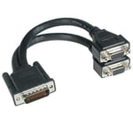 Cables To Go Câble LFH-59 mâle vers 2 femelle VGA