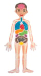 PlayMais PlayMais tilbehør - Anatomi puslespill